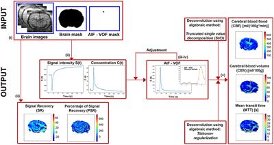 Perfusion-weighted software written in Python for DSC-MRI analysis